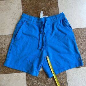 ALO Yoga Blue Chill Sweat Shorts